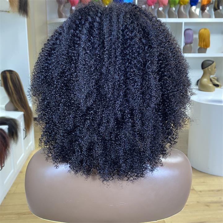 Short Kinky Curly Wigs for Black Women Black Curly Lace Front Wigs Human Hair Pre Plucked 180% Density - Daisy Hair