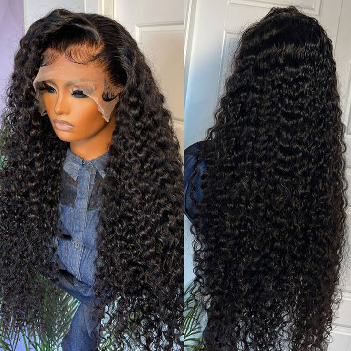 Black Curly Hair 13x4 HD Lace Front Wig 100% Virgin Human Hair Wigs Pre Plucked Hairline-Daisy Hair